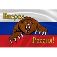 Флаг Россия Вперед 30х45 см